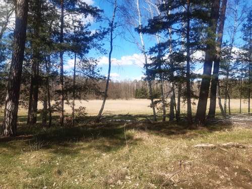 Rundweg im Naturschutzgebiet Löcknitztal