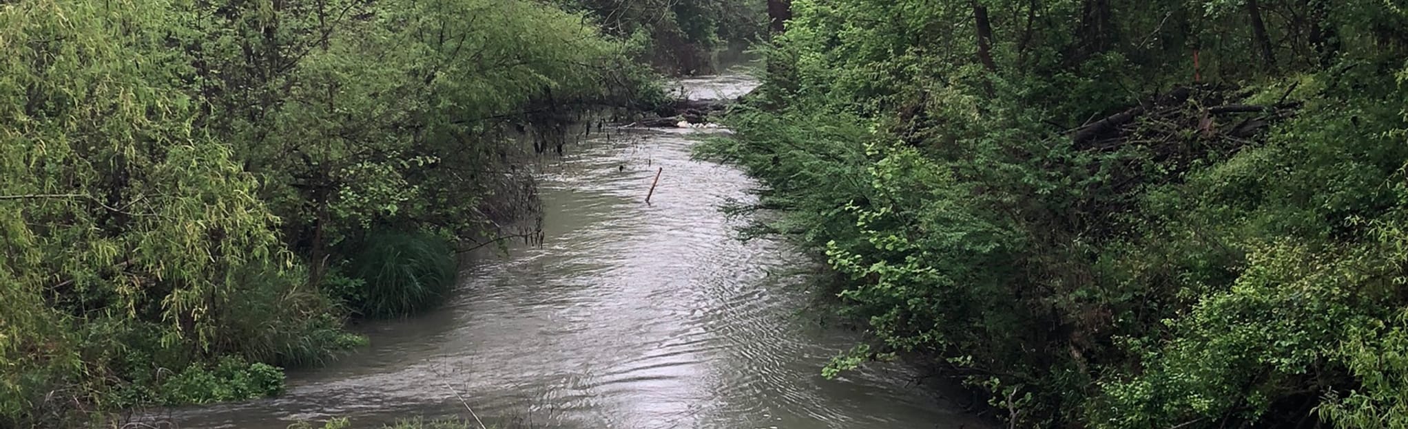 Rio Medina Trail Map, Guide Texas AllTrails