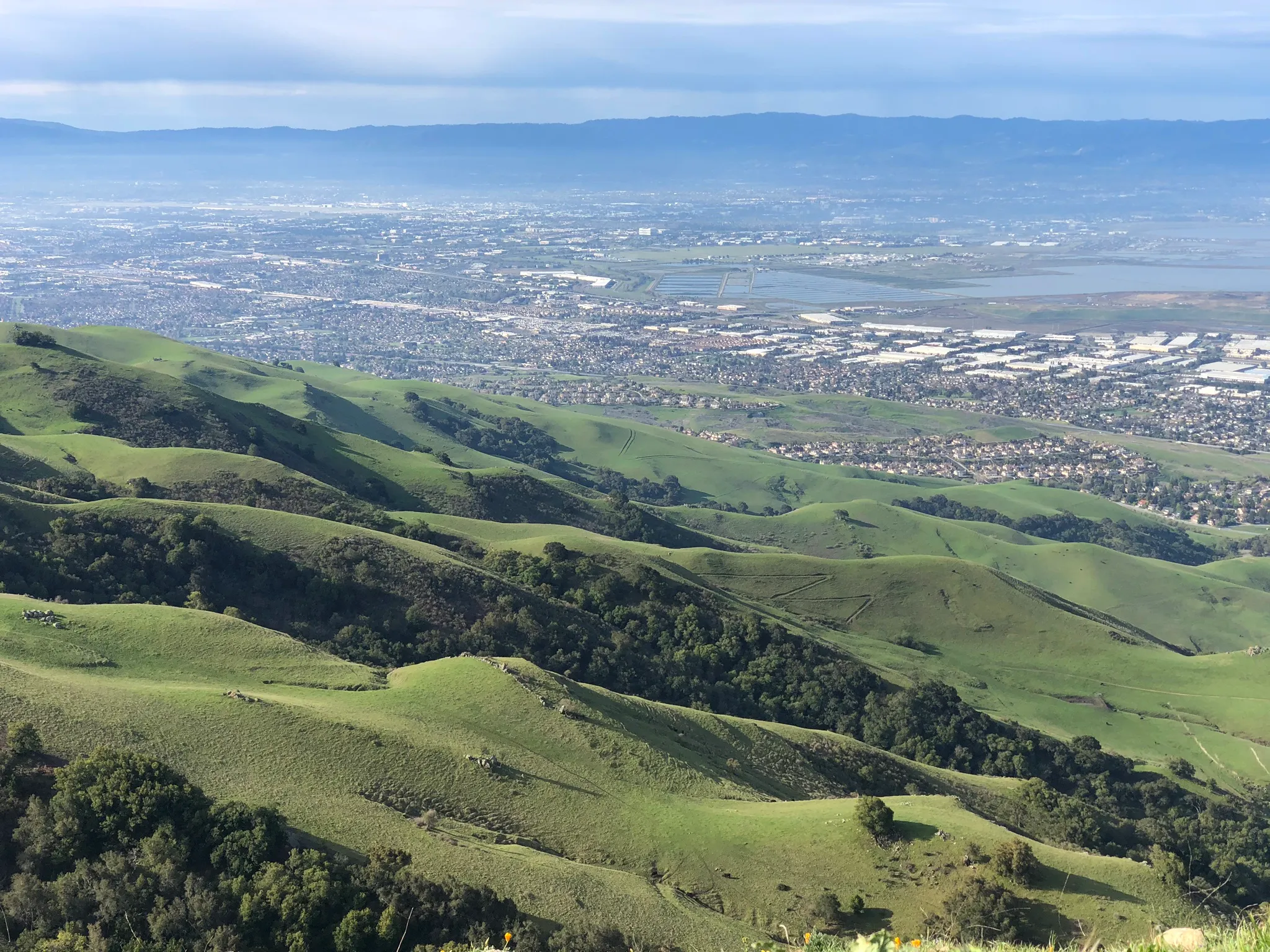 Mission Peak Loop from Stanford Avenue Staging Area