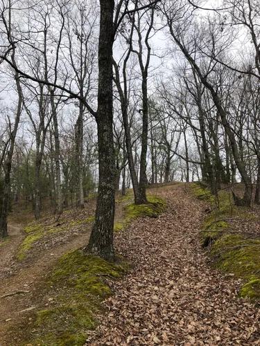 Best Hikes and Trails in Waverly Park | AllTrails