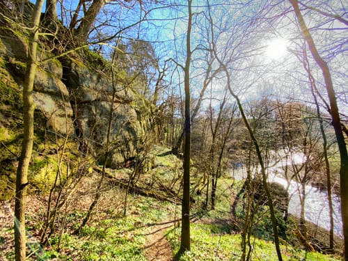 Burgwaldpfad Etappe 3: Münchhausen - Frankenberg