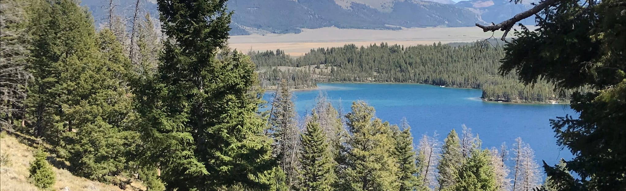 Petit Lake to Redfish Lake - Idaho | AllTrails