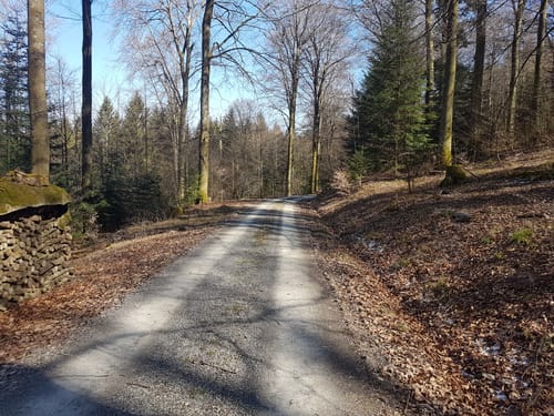 Powertour - Mountainbiketour zur Roten Lache