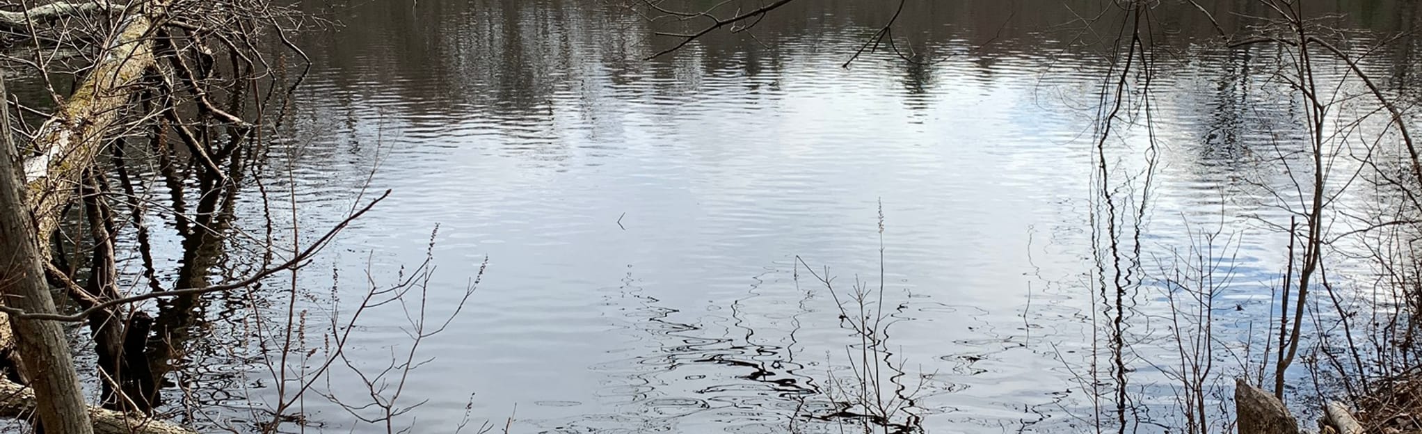 Taylor Reservoir Yellow and Dark Blue Trail Loop 317 Reviews, Map