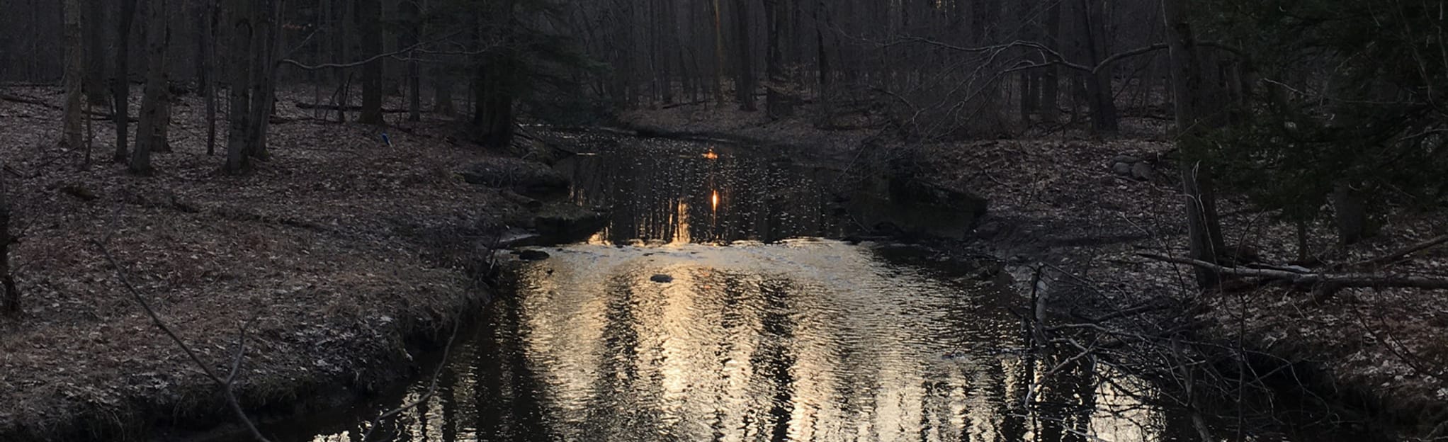 AllTrails State Game Lands 101 5 Reviews, Map Pennsylvania
