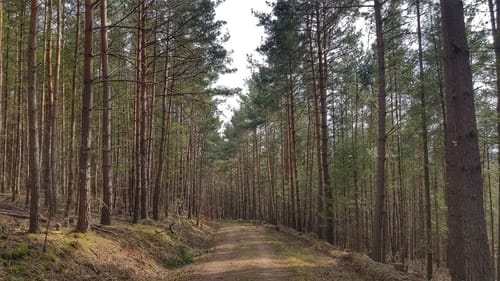 71
