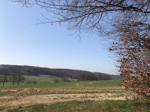 Holperdorper (Teutoschleife)