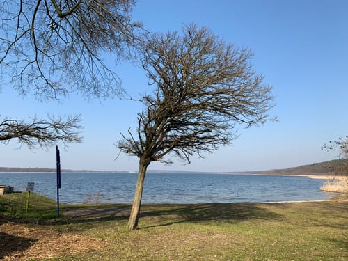 Schwielowsee Rundweg