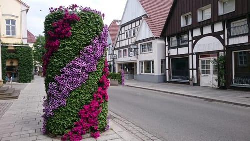Wiedenbrück - Steinhorster Becken - Rietberg