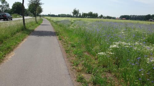 Rietberg-Mastholte (Sieben Mal sympathisch)