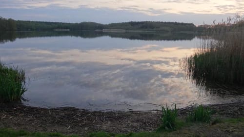 Großer Lausiger Teich
