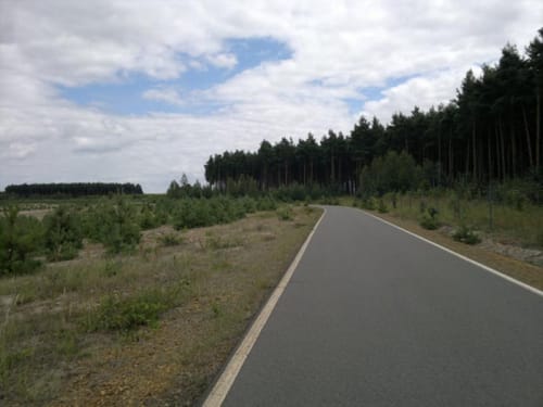 Um den Partwitzer See und Geierswalder See
