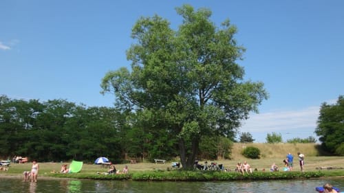 Paddeltour: Kratzeburg Neustrelitz