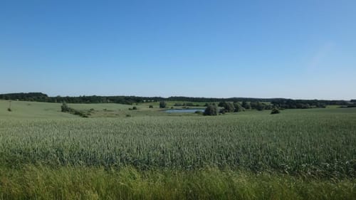 Müritz-Nationalpark Weg Etappe 8: Kratzeburg - Federow