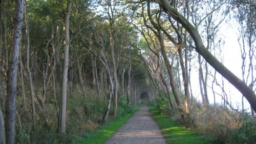 Strandspaziergang Schwarzer Busch