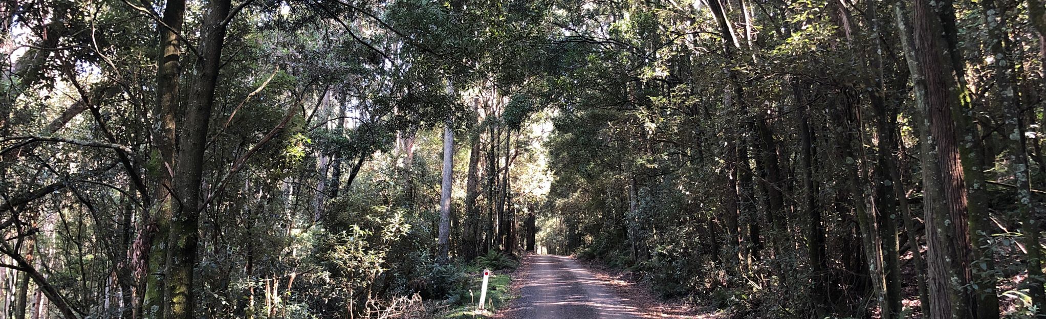 Tunnel Creek Road, Hesket Boundary Road, and Mountains Road Loop: 24 ...