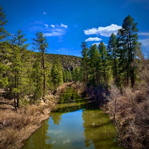 Bedste campingruter i Forest Lakes i 2023 AllTrails