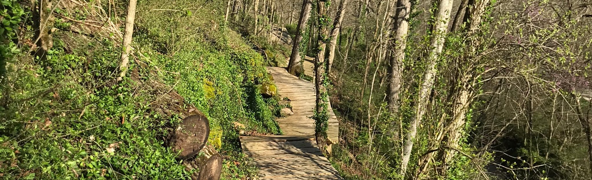 Here's Johnny Loop, Arkansas - 31 Reviews, Map | AllTrails
