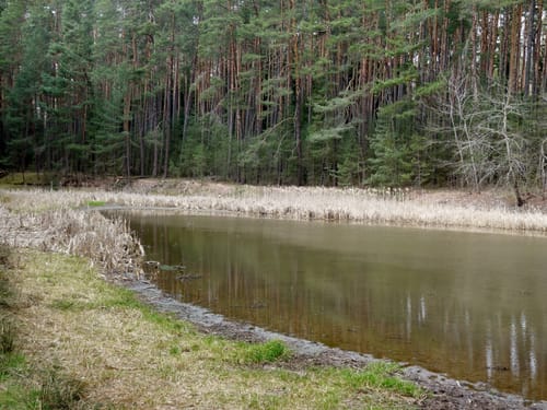 Abenberg Nr. 3