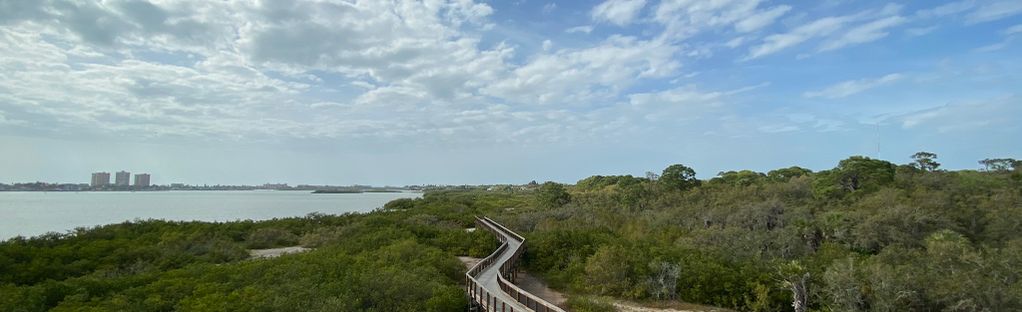 Boca Ciega Boardwalk: 144 Reviews, Map - Florida | AllTrails