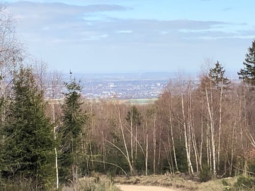 Naturpark Nordeifel: Geyer-Kreuz