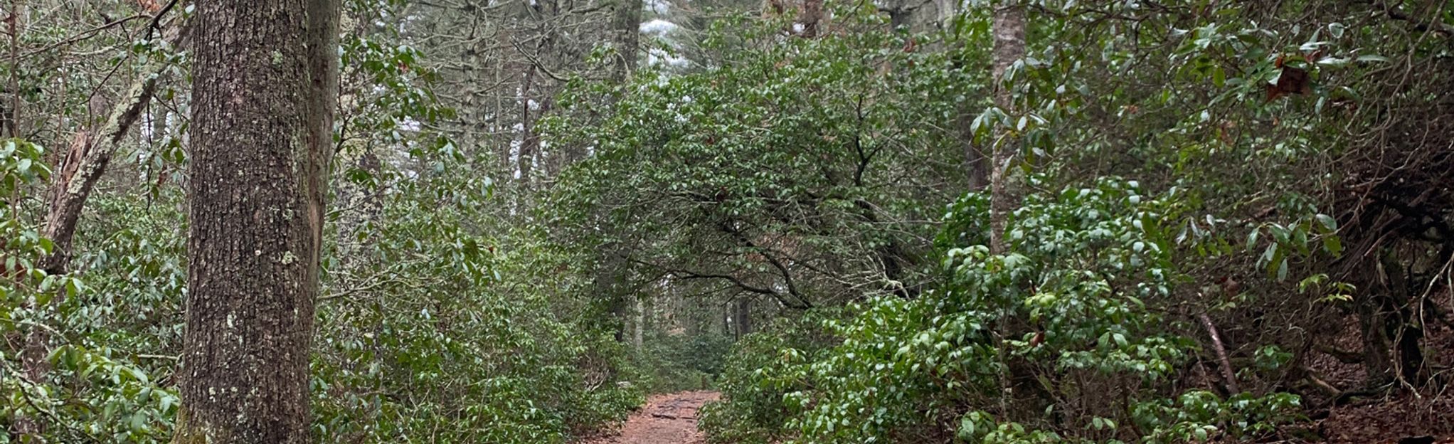 Yawgoo Pond Loop [FERMÉ] - Rhode Island | AllTrails