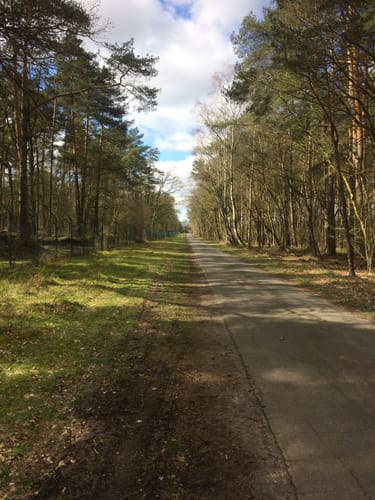 Rund um die Eickhofer Heide