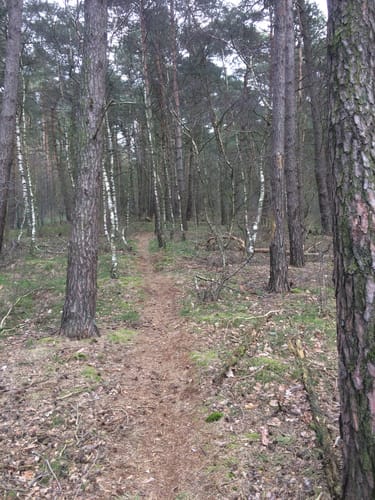 Rund um die Eickhofer Heide