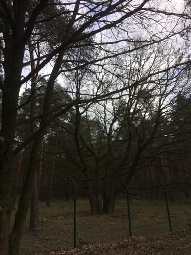 Rund um die Eickhofer Heide