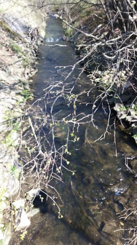 Von Alzey nach Dautenheim