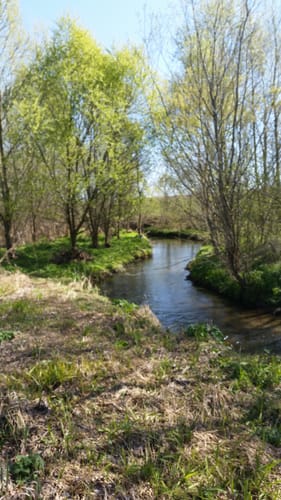 Von Alzey nach Dautenheim