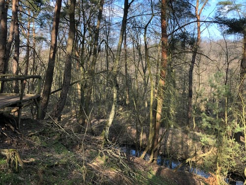 Naturlehrpfad Schutzgebiet Blankenfelder See und Dahlewitzer Heide