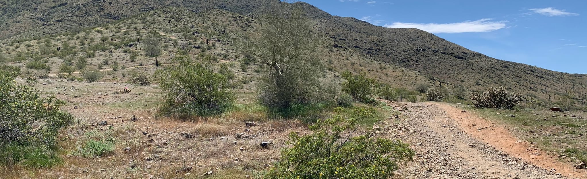 T-Bone Ridgeline (Hau'Pal) Trail Loop: 1,517 Reviews, Map - Arizona ...