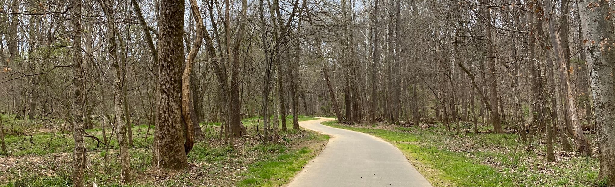 Mallard Creek Greenway, North Carolina - 523 Reviews, Map | AllTrails