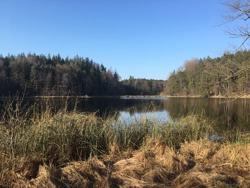 Fahrradtour: Eggstätter Seen von Prien-Stock