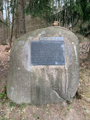 Südheide 'Der Urwald im Lüß' W8m (mittlere Tour)