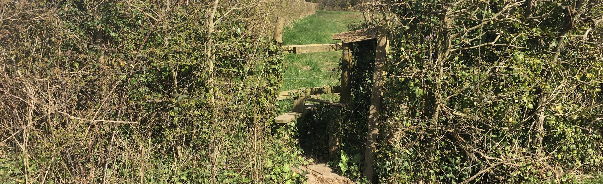 Horton Heath East Horton Golf Club Circular 12 Fotos Hampshire