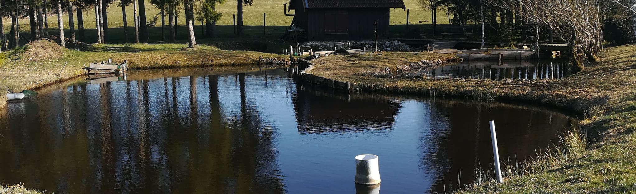 Peat ponds 21 Reviews, Map Doubs, France AllTrails