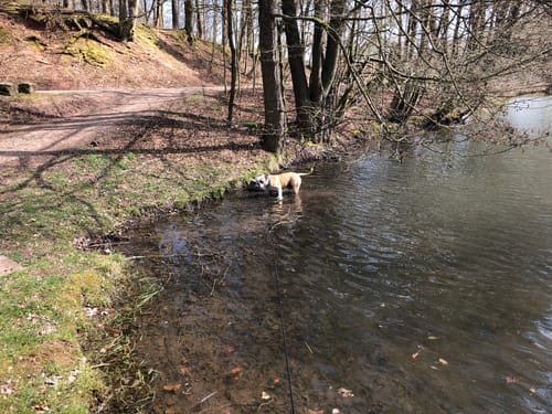 Untersuhl Rundweg