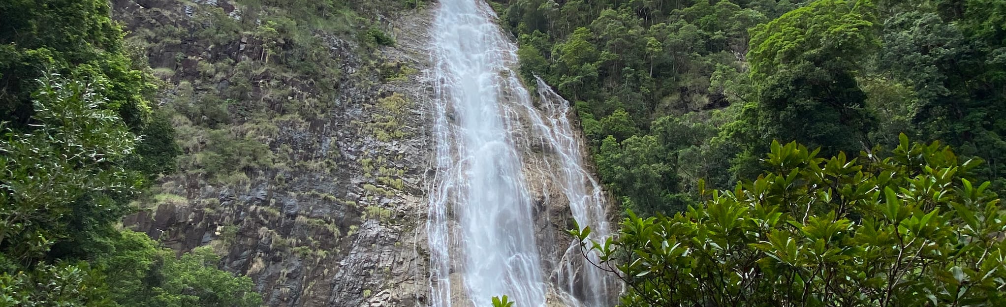 West Mulgrave Falls Queensland, Australia AllTrails