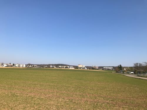 Hessische Apfelwein- und Obstwiesenroute: Im Meerholzer Hügelland