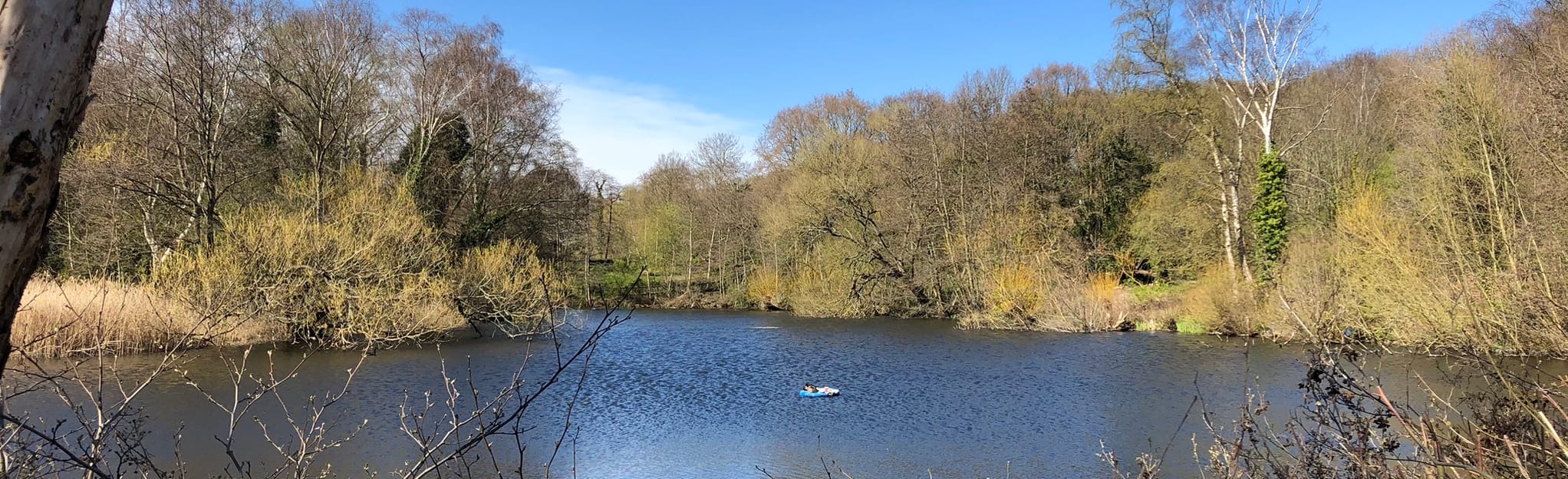 Tufnell park and Hampstead Heath Circular 265 foto's London