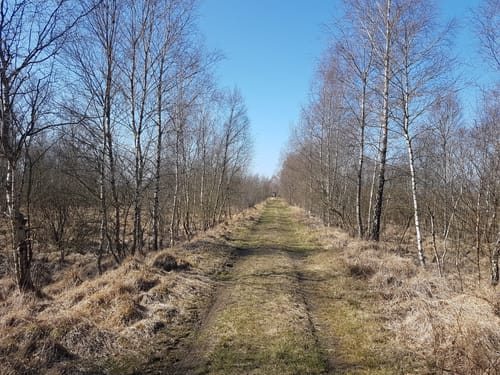 Schönbeker Moor