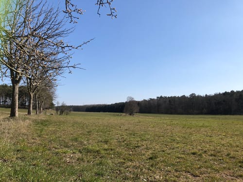 Backofenberg Rundweg ab Stücken
