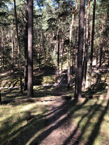 Backofenberg Rundweg ab Stücken