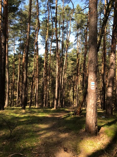 Runde am Ziebchenberg