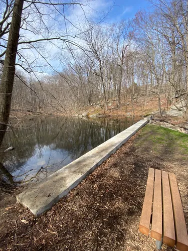 Best Walking Trails in Armonk | AllTrails