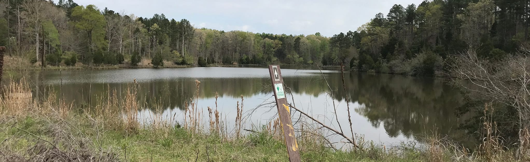 Enoree Trail, South Carolina 24 Reviews, Map AllTrails