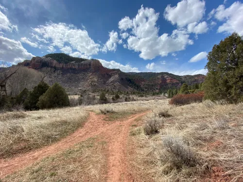 Top 10 Summer Hikes in Durango