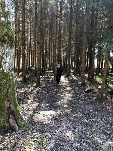 Kirschbaümer/Keltenweg Trails